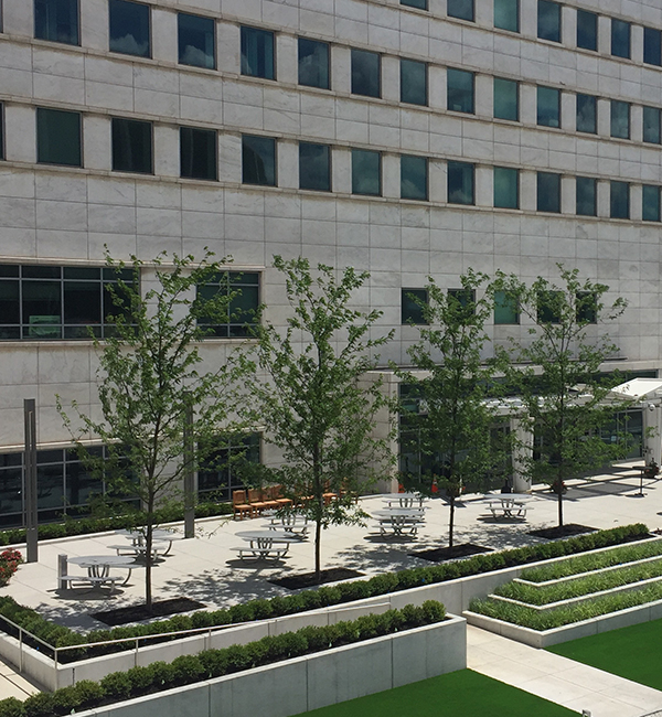 Photo of The FBI Building in Metro Detroit